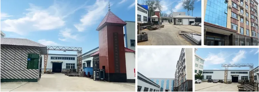 Hebei Shengyu Lifting Machinery Co., Ltd. factory